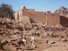 Bedoeinen bij Sinai